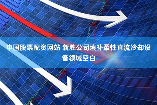 中国股票配资网站 新胜公司填补柔性直流冷却设备领域空白